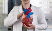 El omega-3 mejora la salud cardiovascular