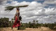 Un pueblo de Kenia se adecuó a su entorno hostil