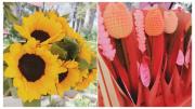 La tradición de regalar flores amarillas marca la llegada de la primavera en Tarija