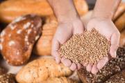 ¿Realmente es saludable eliminar el gluten?