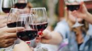 Conozca las razones por las que el vino tannat tiene ahora su día nacional