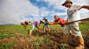 Conucos productivos deben ponerse en marcha plantea la Unión Campesina Nacional Ezequiel Zamora