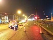 Árboles caídos y zonas anegadas por el temporal en Mar del Plata: les pidieron a los vecinos no salir de sus casas