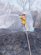Fuegos forestales activos mantienen en alerta a 32 municipios de Santa Cruz