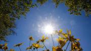 Cómo será la primavera 2025 en Chile: menos lluvia y más calor en algunas regiones