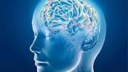 Día Mundial del Alzheimer: la importancia de la detección temprana y del cuidado de la salud cerebral