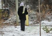 Primavera inestable en la cordillera de Neuquén y Río Negro: nieve, fuertes lluvias y vientos intensos este domingo