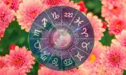 Rituales de primavera según tu signo: cómo atraer el amor con la energía del equinoccio 