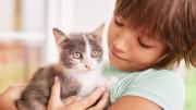Gatos y felicidad: el impacto de las mascotas en tu autoestima, cerebro y calidad de vida