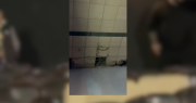 Video: se cayó una placa del techo del Cine Victoria de Berisso en medio del temporal y golpeó a una chica