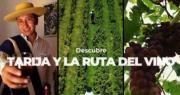Presidente Arce invita descubrir la magia de Tarija, la capital del vino boliviano