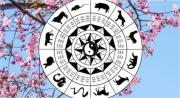 Crecimiento y expansión: los signos del horóscopo chino que florecerán con la llegada de la primavera