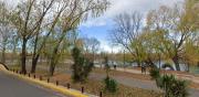 Rescataron a una familia que quedó varada por el viento en una isla del río Limay: junto a sus perros y sin chalecos salvavidas