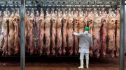 El Gobierno bajó a cero las retenciones para la carne bovina y avícola hasta el 31 de octubre