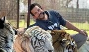 Un tigre desata el horror: Domador pierde la vida en un trágico ataque