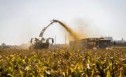 El Gobierno anunció retenciones cero a los granos para sumar dólares y calmar la tensión cambiaria