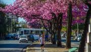 En unas horas, finalmente ingresa la primavera, según el Servicio Meteorológico