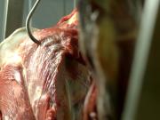 El Gobierno también bajó a cero las retenciones a la carne vacuna y avícola hasta el 31 de octubre