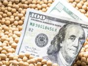 Tras la quita de retenciones, el precio de la soja da un salto en el mercado local