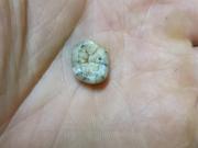Un diente encontrado en una cueva de Laos encierra un increíble secreto