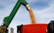 Los riesgos de eliminar retenciones: especulación del campo, costo fiscal y más inflación