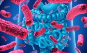 Descubren que bacterias intestinales se comunican directo con las neuronas: ¿Cómo impacta en las terapias cerebrales?