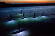 Paddle surf bajo las estrellas en Barcelona: la experiencia mágica del verano 2026