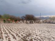 Tarija: Luis Alfaro lamenta falta de prevención ante efectos climáticos que afectan a la producción agrícola