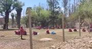 Alcalde de Tarija invita hoy a la población a la nueva calle frente al albergue para canjear plásticos por 10.000 plantines de rosas