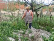 Municipio de Tarija trabaja en dotación de bombas antigranizo y en la reconstrucción productiva