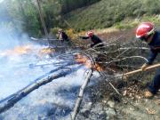 Siete incendios forestales permanecen activos, confirma el Gobierno
