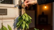 Colgar laurel en los picaportes de casa: por qué recomiendan hacerlo y para qué sirve