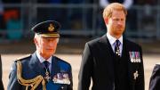Filtran detalles de la reunión entre el rey Carlos III y el príncipe Harry: Viven un deshielo de sus relaciones