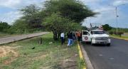 Hombre arrolló a varios empleados del aseo en Maracaibo, habría dos muertos