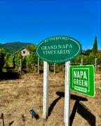 El Valle de Napa comienza a establecer sus Pinot Noir