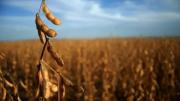 Retenciones 0: la Sociedad Rural destaca el beneficio para el campo
