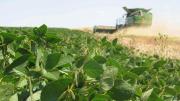 Fin de las retenciones al agro