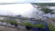 Provincia prorrogó la emergencia agropecuaria en cuatro partidos bonaerenses afectados por inundaciones