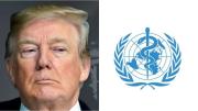OMS desmiente a Donald Trump y afirma que “no hay evidencia científica” que vincule el paracetamol con el autismo
