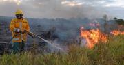Lluvia no llegó a todas las zonas afectadas por los incendios, lamenta Gobernación cruceña