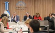 Dictamen en Diputados: citan a Karina Milei y al ministro de Salud por el escándalo ANDIS
