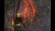 Sernap reporta incendios activos en dos áreas protegidas de Santa Cruz