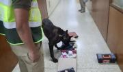 Hallan 2,8 kilos de cocaína camuflados en encomienda en Viru Viru