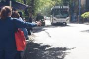 Batalla de Tucumán y Virgen de la Merced: actividades para hacer en el feriado