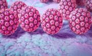 Salud.- La lucha contra el HPV: información y prevención, la clave de todo