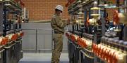 Industrias productivas estatales generaron más de Bs 11.250 millones en ingresos