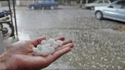 El granizo provocó daños en al menos 160 hectáreas con frutas y ajo del Valle de Uco