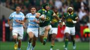 ¿Pueden Los Pumas romper la hegemonía de Sudáfrica en el Rugby Championship?