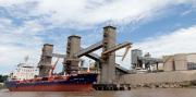 China acelera la compra de soja argentina tras la baja de retenciones que impulsó Javier Milei