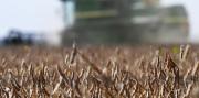 Alerta en el campo: EE.UU. quiere terminar con retenciones cero para el agro